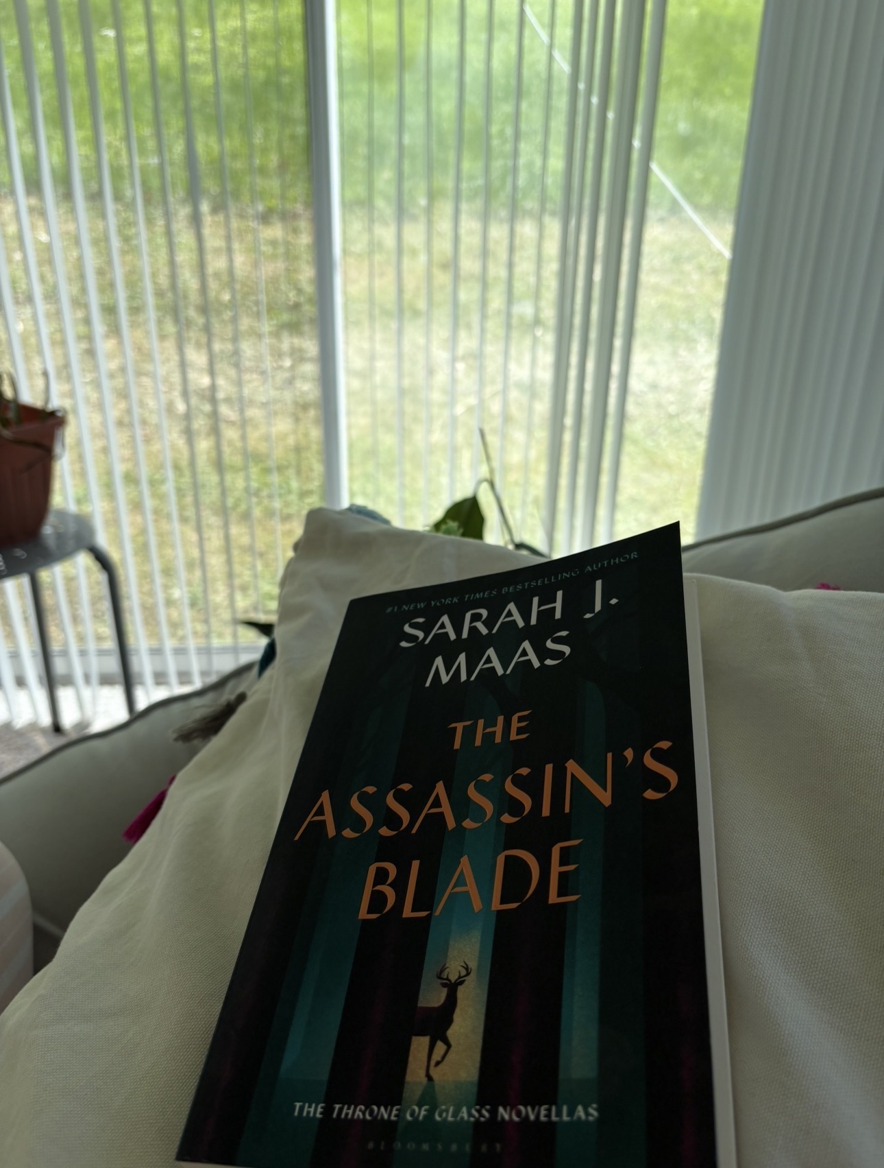 the assassins blade.